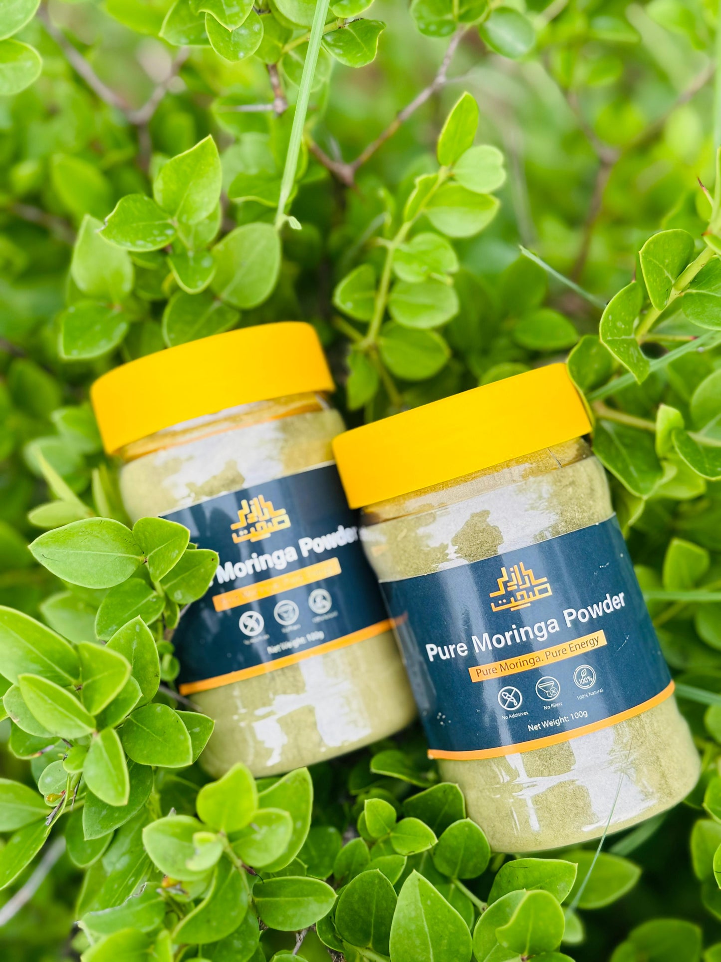 Pure Moringa Powder